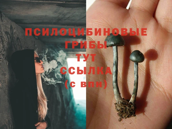 СК Балахна