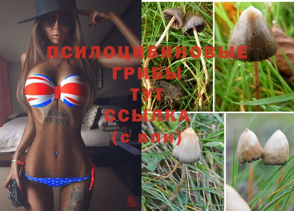 СК Балахна