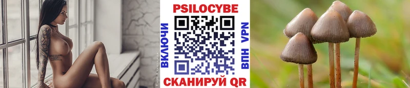 Галлюциногенные грибы Psilocybine cubensis  Козельск 